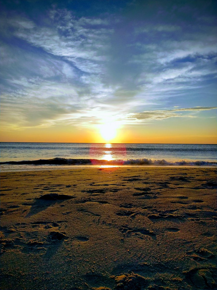 Who says the Essential Phone has a bad camera? I love my Essential Phone! #essentialphone