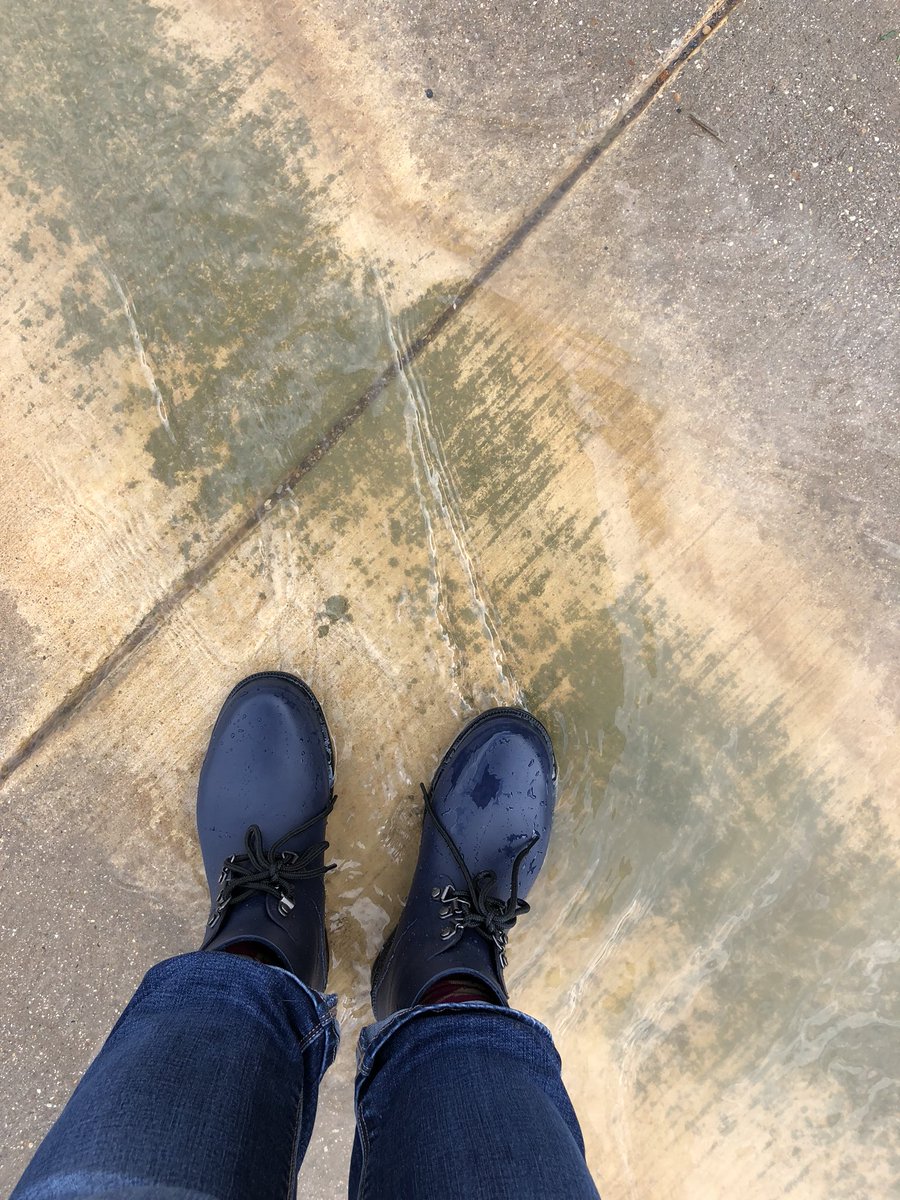 CErvinGCISD's tweet photo. Rainy days are Puddles of Fun! #labsofinstagram #pupperdog #puppylove #dogmom https://t.co/iIy58drnSj