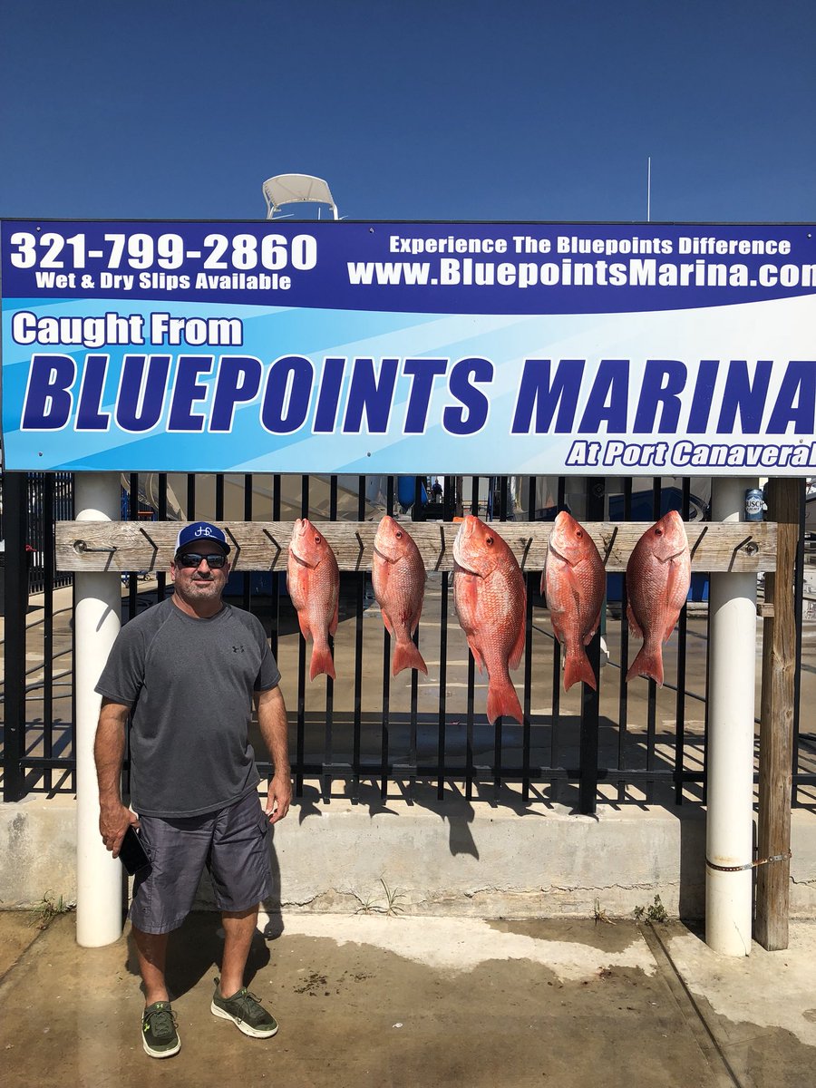 DiomedeMark's tweet photo. Great day fishing! #mudholeboat #notafisherman #redsnapper https://t.co/Kh0ysPvlCX