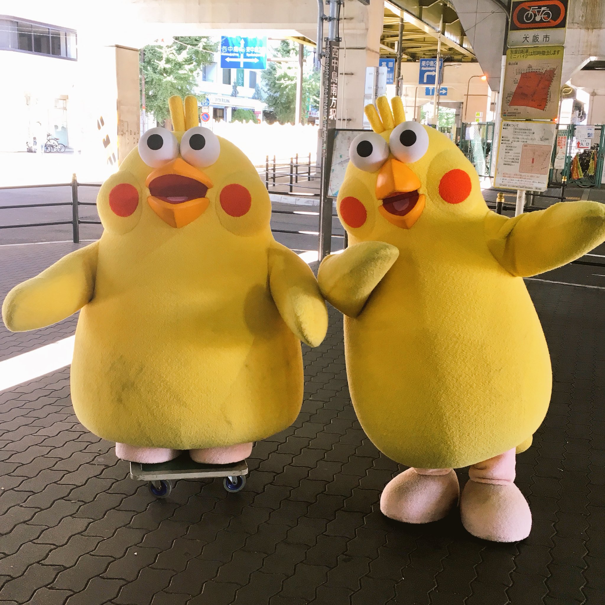 砂糖 白 ドコモの黄色い鳥のキャラクター台車で運ばれてるのめちゃくちゃ可愛い T Co W5vcawujm2 Twitter