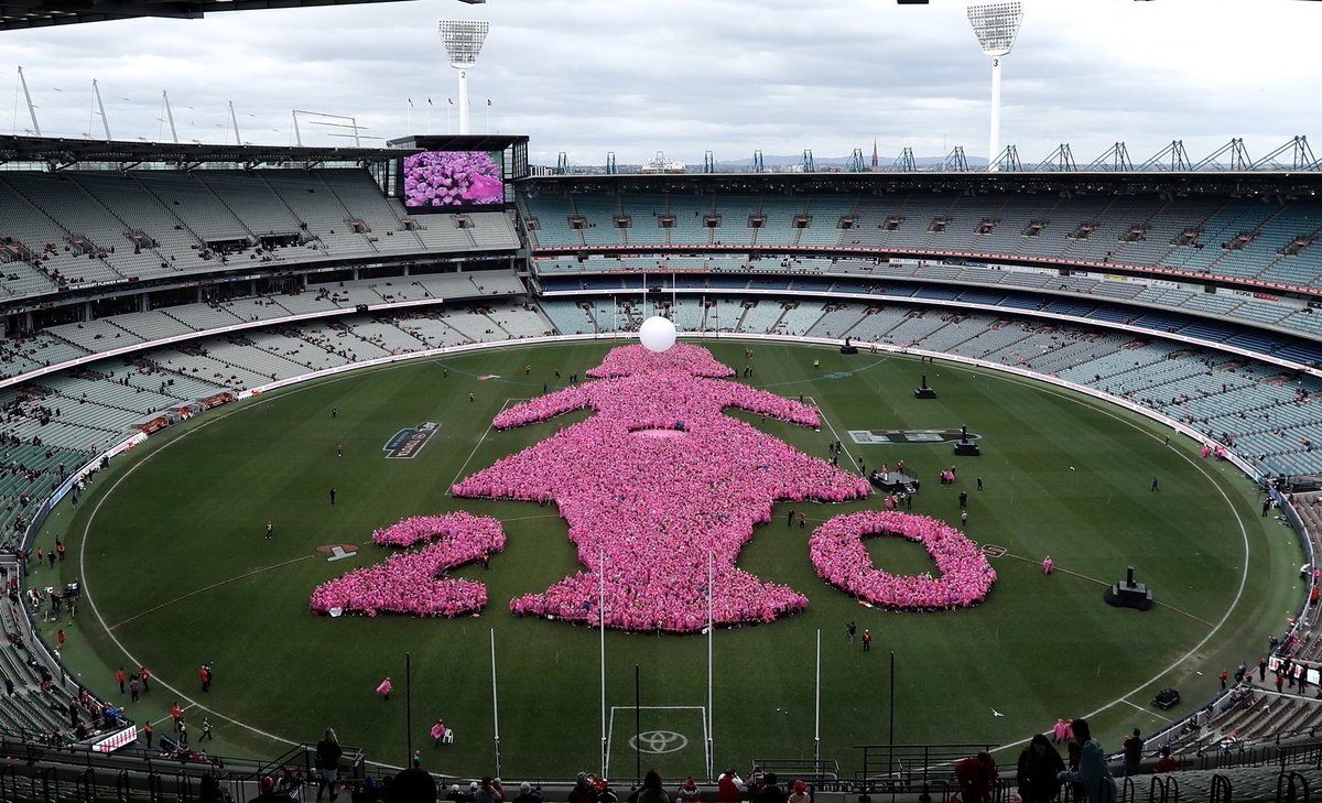 Incredible scenes. 💗

#FieldofWomen #StandWithMeAtTheG #AFLDeesSwans