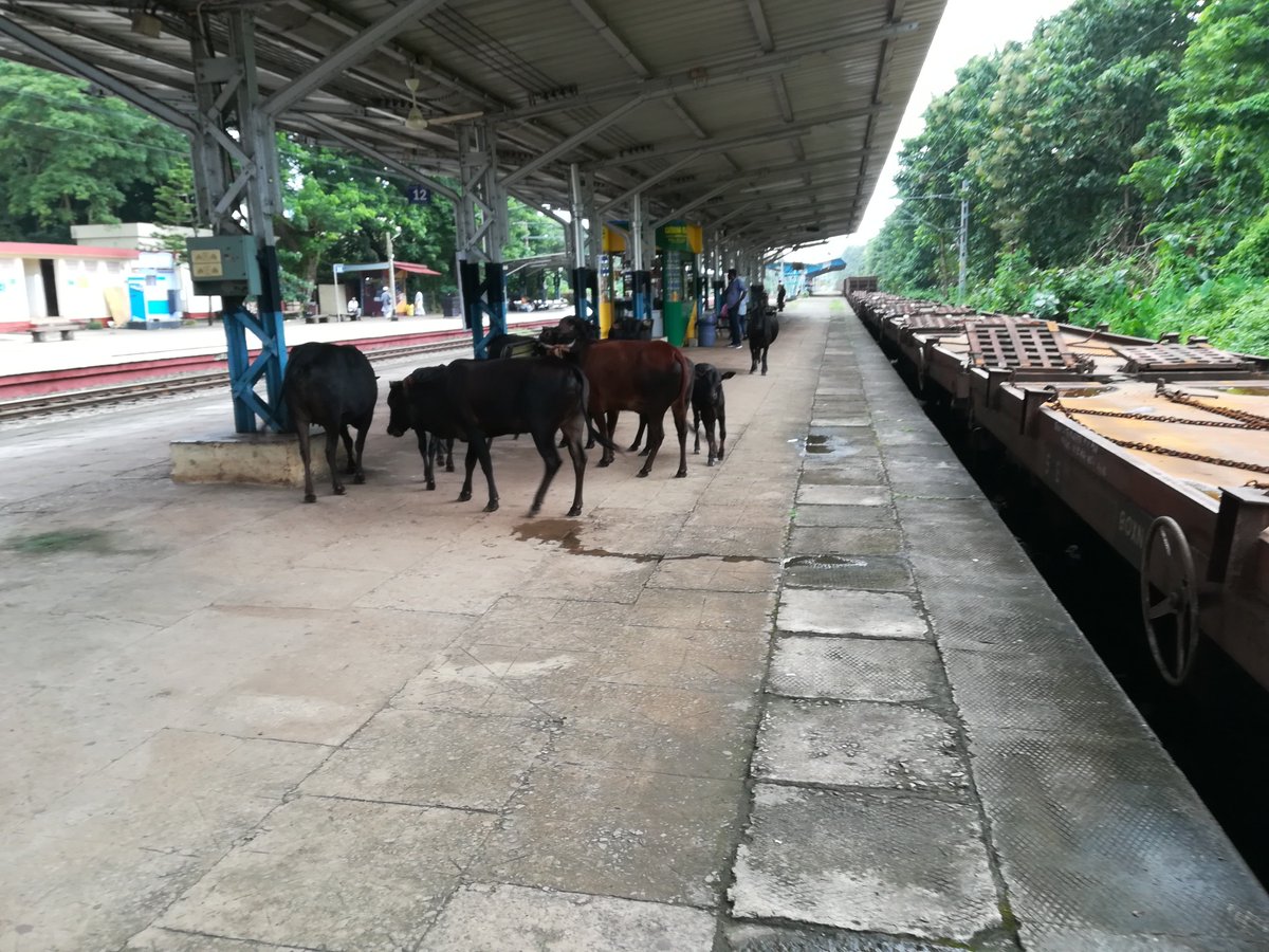 U S Prasad tweet media