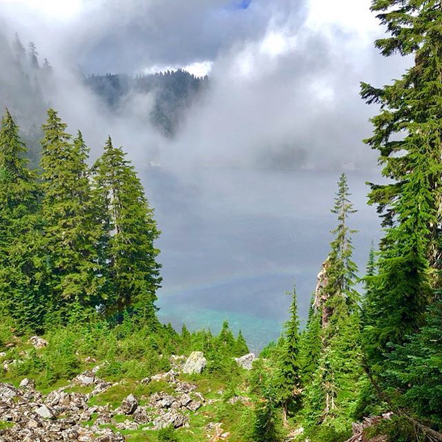 It’s going to rain they said...instead we got a rainbow 🌈