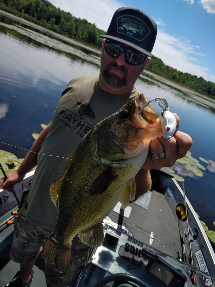 CanuckBassin's tweet photo. Man this guy needs to add a few pounds but still a blast catchin em on @SPRO_USA #Bronzeye frog @LiquidMayhem_ @THERODGLOVE @rah_fish https://t.co/j8dxukpcux