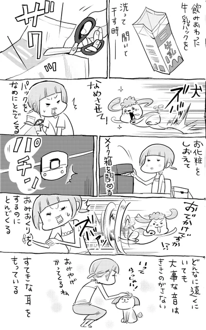 犬と猫どっちも飼ってると、お耳がよいので毎日たのしい 