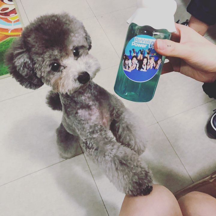 TeamSoneBR's tweet photo. [TRANS] É o famoso Blue Lemonade do Red Velvet? 🐳Me dê um pouco também #Zero 

Cr.: @SonexStella, zero.taeyeon https://t.co/HTDXXwJtgs