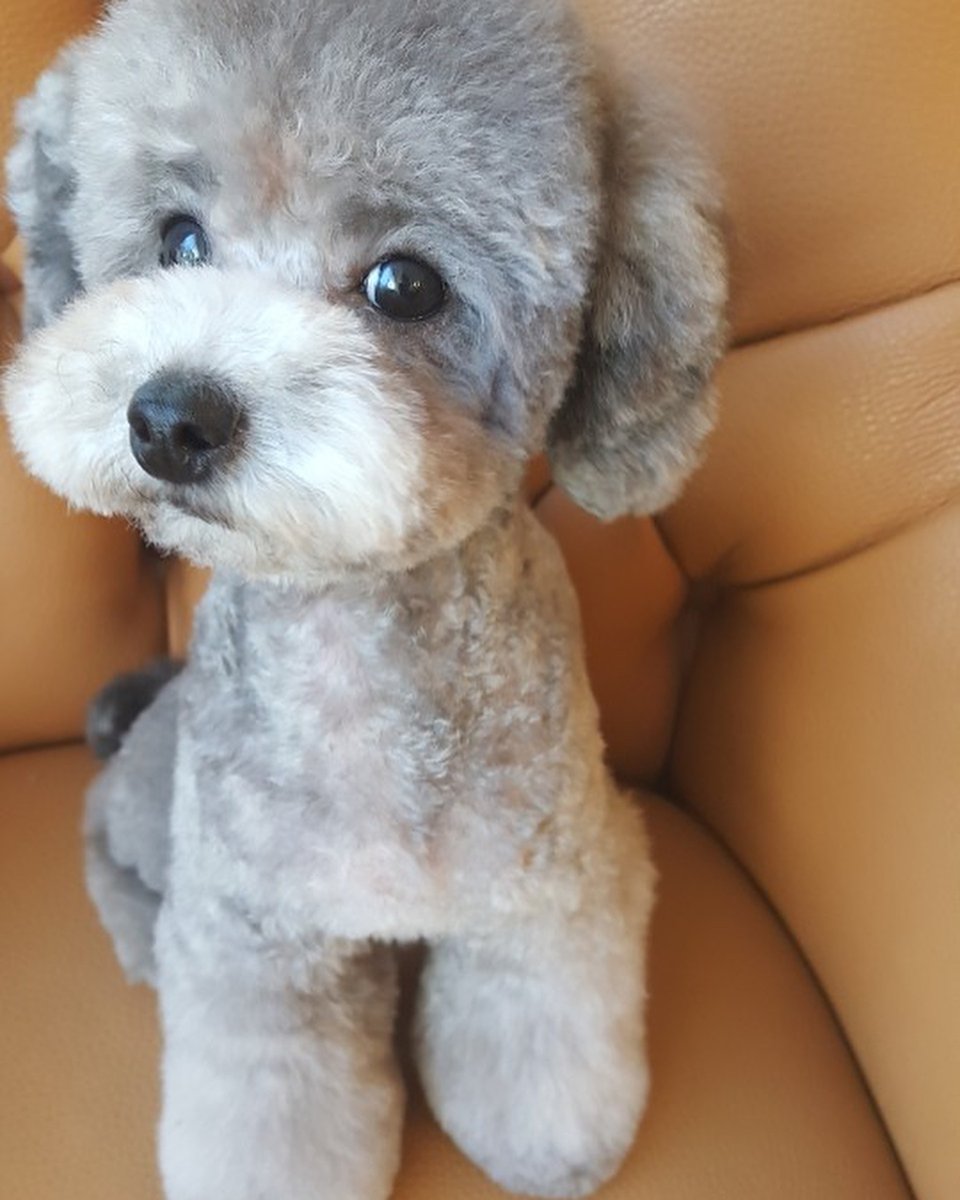 TeamSoneBR's tweet photo. [TRANS] Como estou hoje? Não sou fofo? 💗Hing

Cr.: @SonexStella, zero.taeyeon https://t.co/PzMuLUrBNC