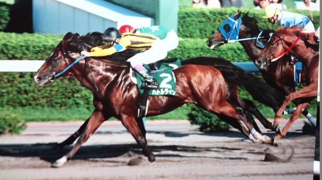 ティズリーおとめ 私の好きなエルムs優勝馬 バトルライン T Co Boota8su8z Twitter