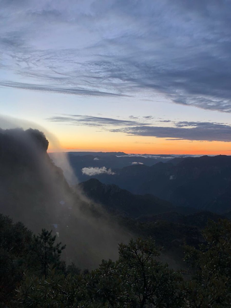 JuanaCuevasR's tweet photo. Unos días en las Barrancas del Cobre en Chihuahua nos recuerda una vez más la magia de México! #lasbarrancasdelcobre #Chepe https://t.co/KOF1Wq3eje