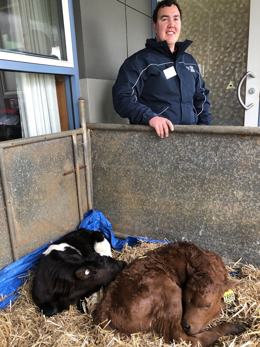 Love working with animals? Come and meet our calves at #UTASOpenDay and learn about careers in agriculture <a href="/TasInAg/">TIA</a>