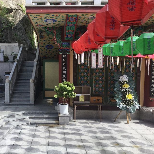 These monks, man, they call them “prostrations,” but do not be fooled; they are modified squats/burpees, and the monks want you to do one set of 108 reps while making a necklace of wooden beads.
#templestaykorea #myogaksa #lifeissuffering