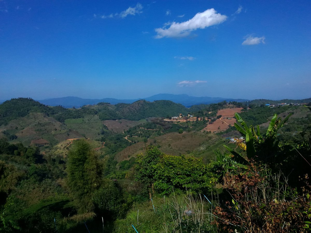 farmer_tare's tweet photo. タイ北部の山あいの小さな町、メーサロンにて。手作りの腕輪を押し売りされました。(^-^;
多分、少数民族アカ族の娘たちだと思います。
#sky813 #jwave #世界の民族衣装 https://t.co/yyV32uOKXD