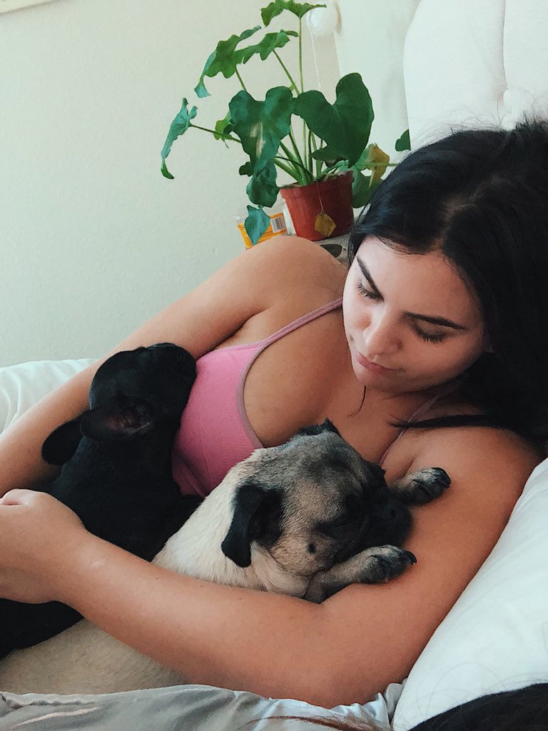 TaylerBuono's tweet photo. Smooshed face puppies have my ❤️ forever https://t.co/Ri0qqRI5PJ