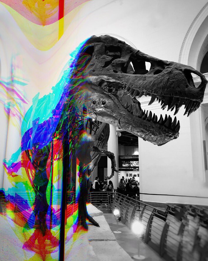 HistoryUnplugg's tweet photo. #OnThisDay 1990. The world’s most expensive dog bones are found in South Dakota.
•
Fossil hunter Susan Hendrickson uncovers the largest Tyrannosaurus rex skeleton ever discovered off a cliff in Faith, South Dakota.
•
#trex #fossil #HistoryUnplugged https://t.co/Ampy6WNUbJ