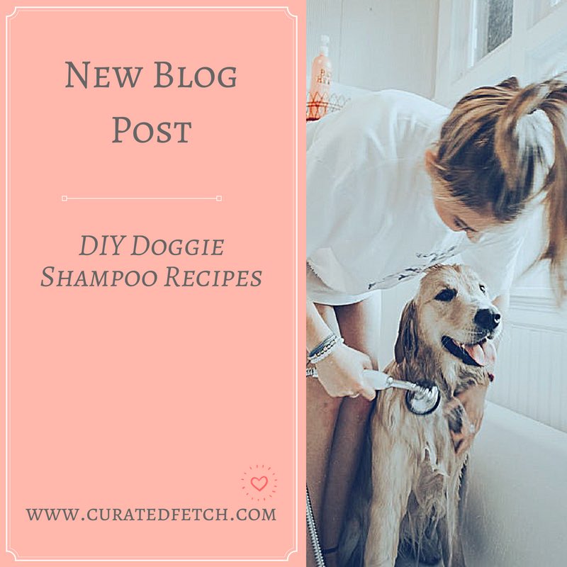curatedfetch's tweet image. Have a dirty dog?  Want a weekend project?  Check out our latest blog post for some DIY – Doggie Shampoo curatedfetch.com/diy-doggie-sha… #Pethack #Petwellness
