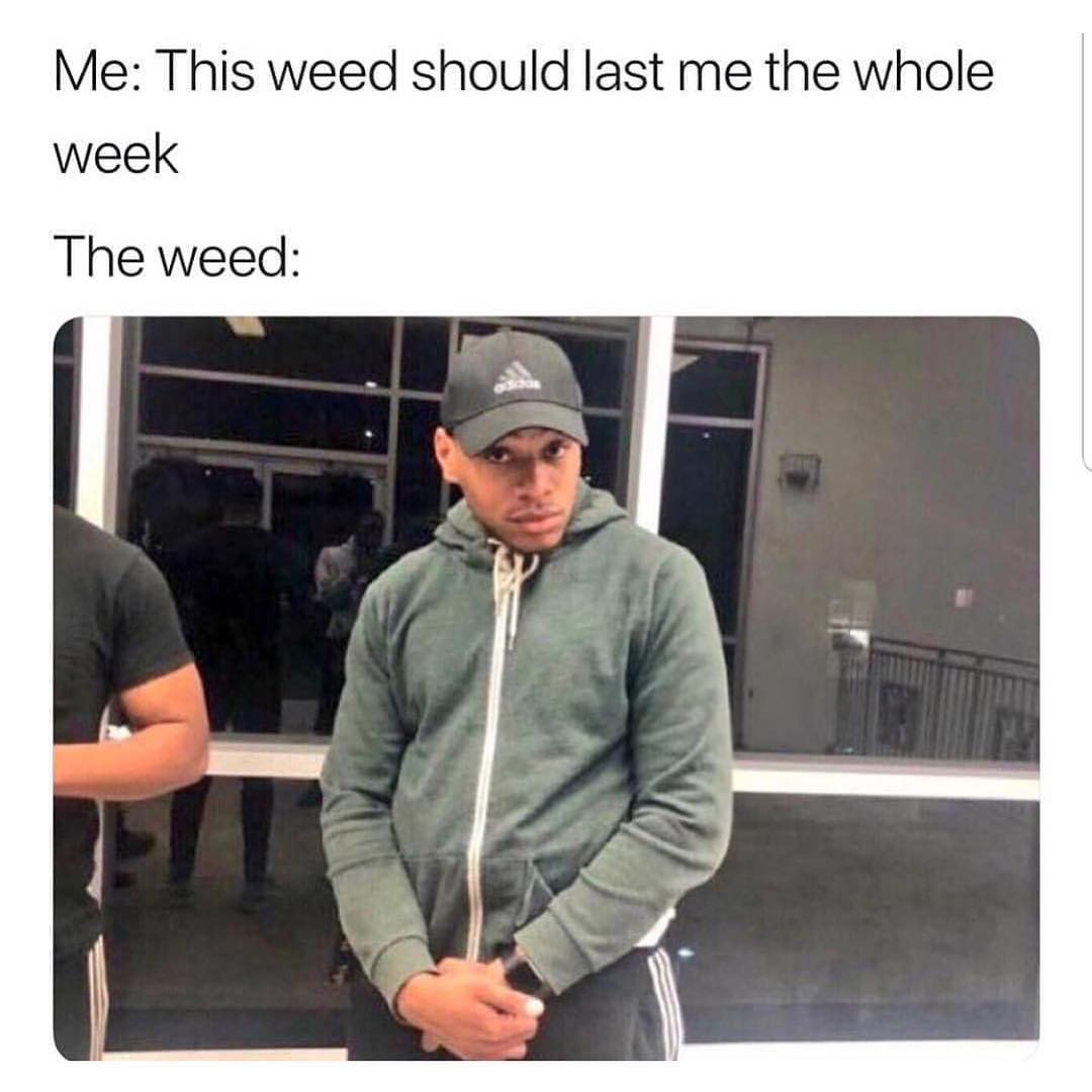 HIGH_TIMES_Mag's tweet photo. 🙄 https://t.co/NrbJkzPoYZ