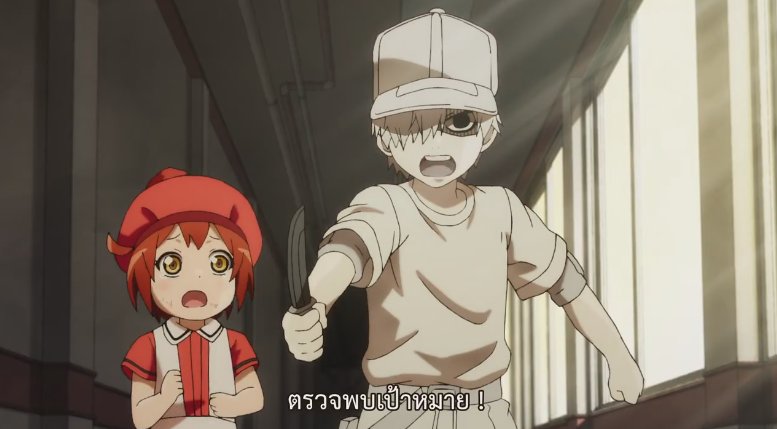 dooanime24hr's tweet photo. 💉Hataraku Saibou Ep.6 💉อนิเมะที่นำเสนอเซลล์ในร่างกายในรูปแบบการ์ตูน หากเกิดบาดแผลพวกไวรัสและแบคทีเรียจะบุกเข้าสู่ร่างกายเซลล์ทุกเซลล์ต้องร่วมมือกันเพื่อต่อสู้กับวิกฤตในร่างกาย! //ตอนนี้เบบี๋เม็ดเลือดแดงและเหล่าเซลล์ต่างๆสมัยเด็กน่ารักมากๆค่ะ ^^ลิ้งค์ : https://t.co/IimkPWn97j https://t.co/o7aNjzkjrV