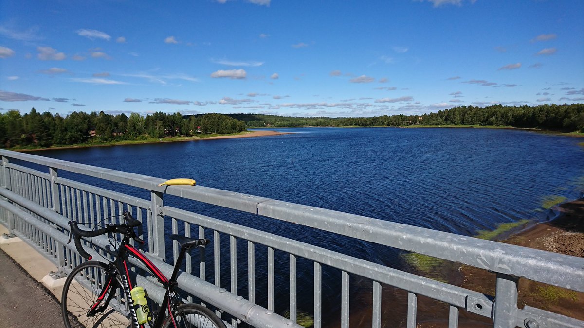 Fillaroi's tweet photo. Almost rode over runaway chickens. Time for banana. https://t.co/gOVJadA7KW