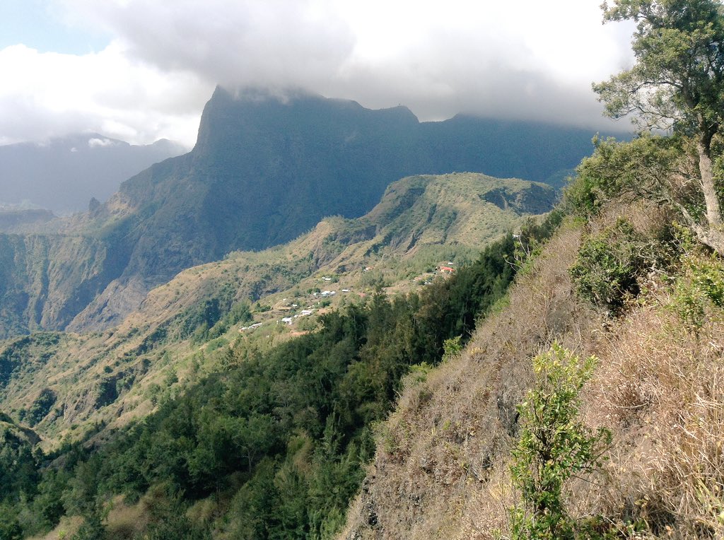PalmaDy's tweet photo. Bonjour et bon  dimanche a la #team974 "d'ici et d'ailleurs" et surtout "tien bo larg pa" #lareunion 
☀️☀️🏝🏝✈️✈️☺️☺️ https://t.co/GsK8FDzh4L