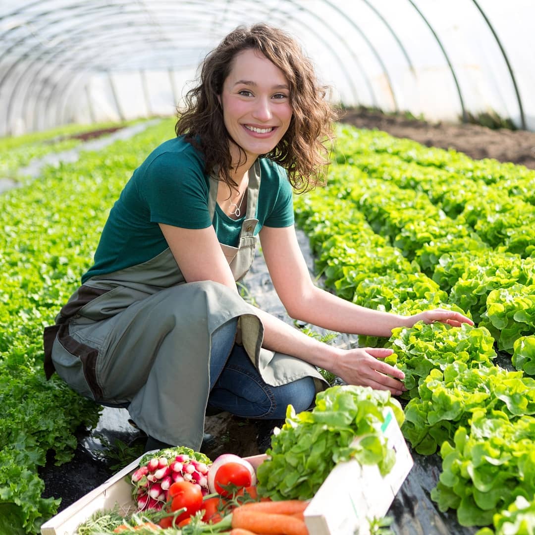 FAOKnowledge's tweet photo. Youth are the future.
The future of agriculture.
The future of food.
Our future without hunger.
Investing in them is investing in our #ZeroHunger future. https://t.co/Ft5A3GCHwd #YouthDay #DecentJobsForYouth https://t.co/D6jhNlhlwX
