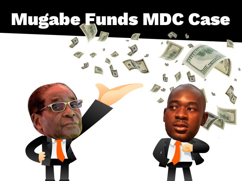 SiphelileSikwe1's tweet photo. Q.What do,a 90+ former president and Pastor  have in common?
A. Their love for power at all costs and not knowing to speak an ounce of truth

Hence Bob funds
 #BobIsInIt

@matigary @Zim102 @zanupf_patriots @KMutisi @ttgono @JonesMusara @Tapfumaneyi1980 @tichdope @nickmangwana https://t.co/N4HcPPvRYr