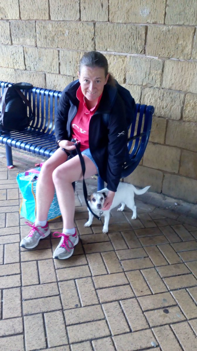 logo_lily's tweet photo. Off to my Nana's on the train today! I love going on adventures especially when my mum is there to look after me! #DogsOfTwitter #LilysLife https://t.co/5yAT8dORa8