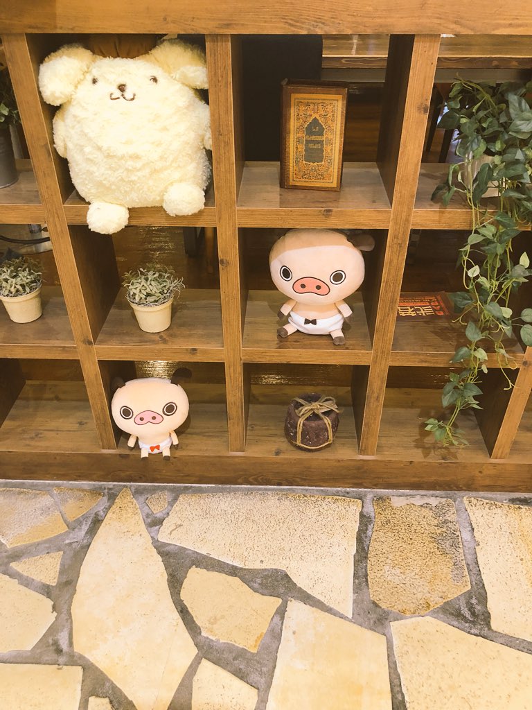 maikkyow's tweet photo. パンパカくんいっぱいおった😊
はたちの最後はパンパカくんと過ごせた😌
@panpaka_pants https://t.co/rHy8dEr7tH