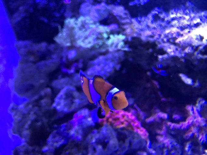 Twitterのコスプレ画像3