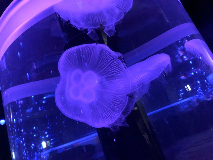 Twitterのコスプレ画像2