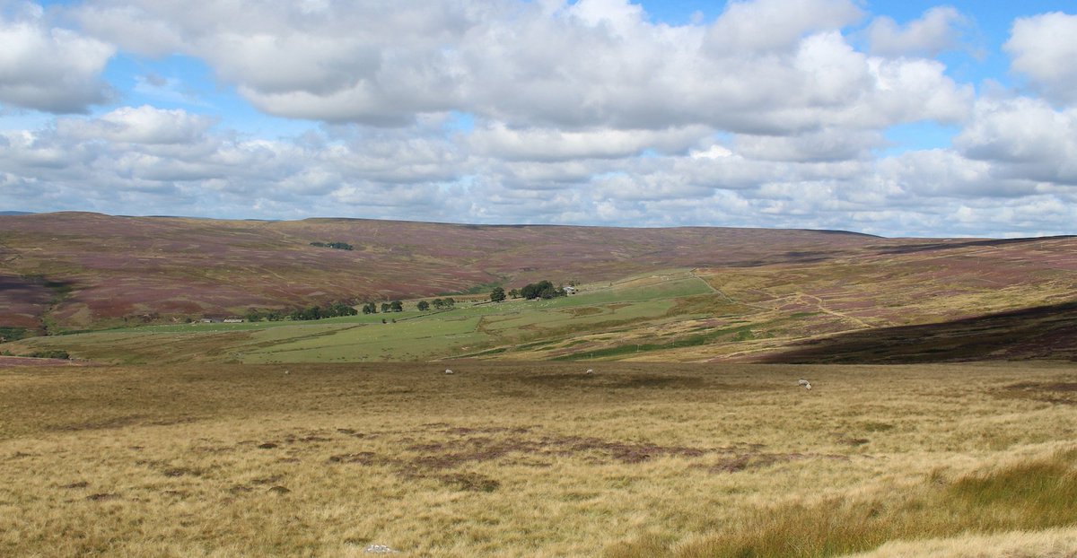 MD_Briggs's tweet photo. The spectacular but isolated Steward Shield Meadow complete with shooting hut at the head of Smiddy Burn on #Stanhope Common.
#Snowhope Moor seen in the background.
North #Pennines @NorthPennAONB @liveforthehills #liveforthehills https://t.co/a0eCScNLO0