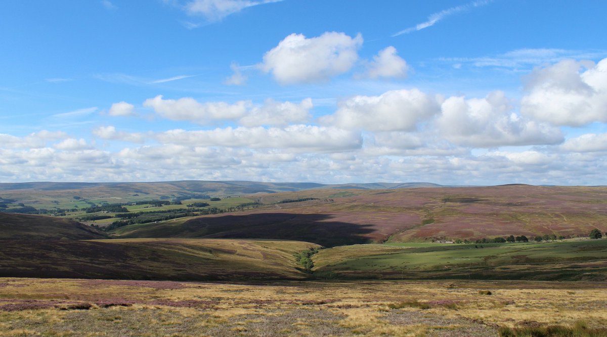 MD_Briggs's tweet photo. The spectacular but isolated Steward Shield Meadow complete with shooting hut at the head of Smiddy Burn on #Stanhope Common.
#Snowhope Moor seen in the background.
North #Pennines @NorthPennAONB @liveforthehills #liveforthehills https://t.co/a0eCScNLO0