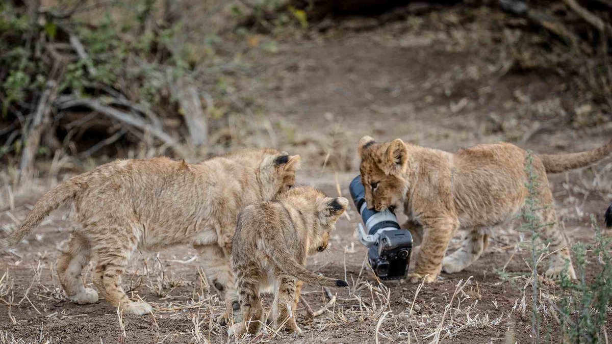 ���� ���� ������ �� ���� ������