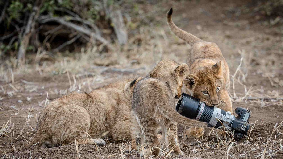 ���� ���� ������ �� ���� ������