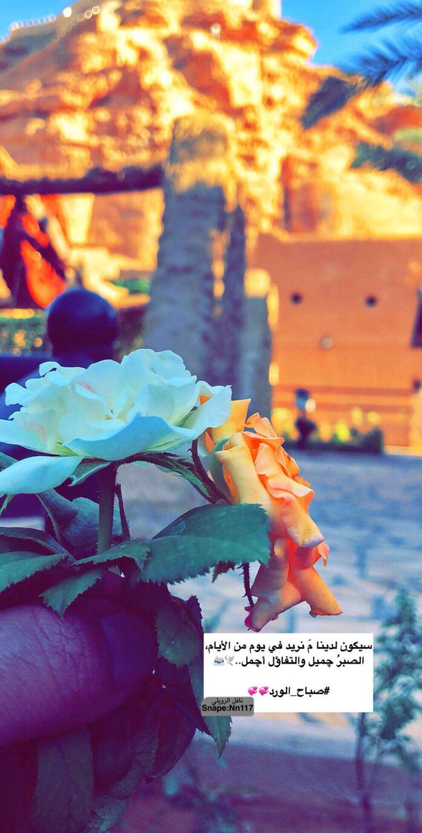 nafl1234's tweet photo. ..♪❀
.
.
.
.
سيگون لدينا مَ نريد في يوم من الأيام،
الصبرُ چميل والتفاؤل أچمل..🕊📨

#صباح_الورد💞💞 https://t.co/EZAQ0lGE5d