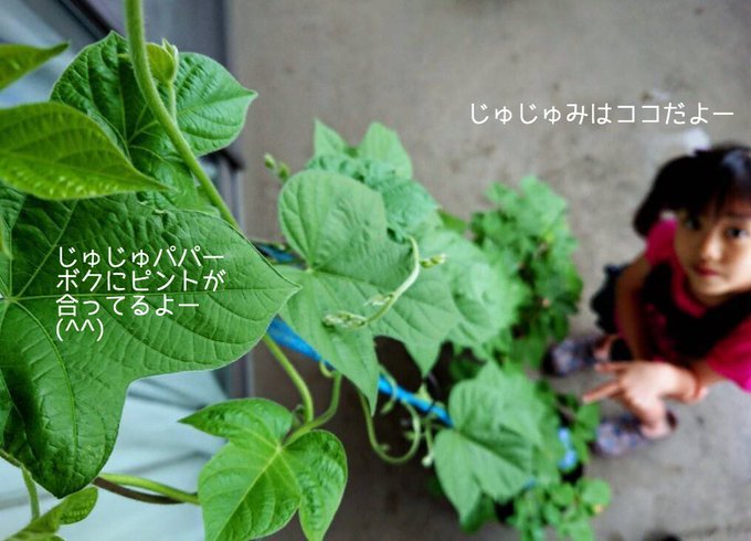 じゅじゅのTwitter画像102