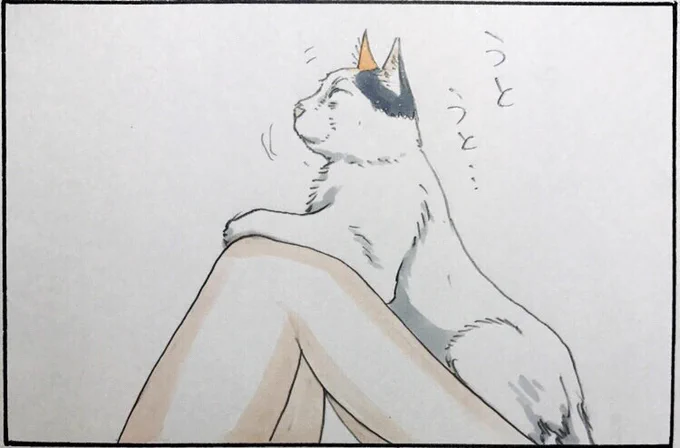 『そこにヒザがあるからだ』 