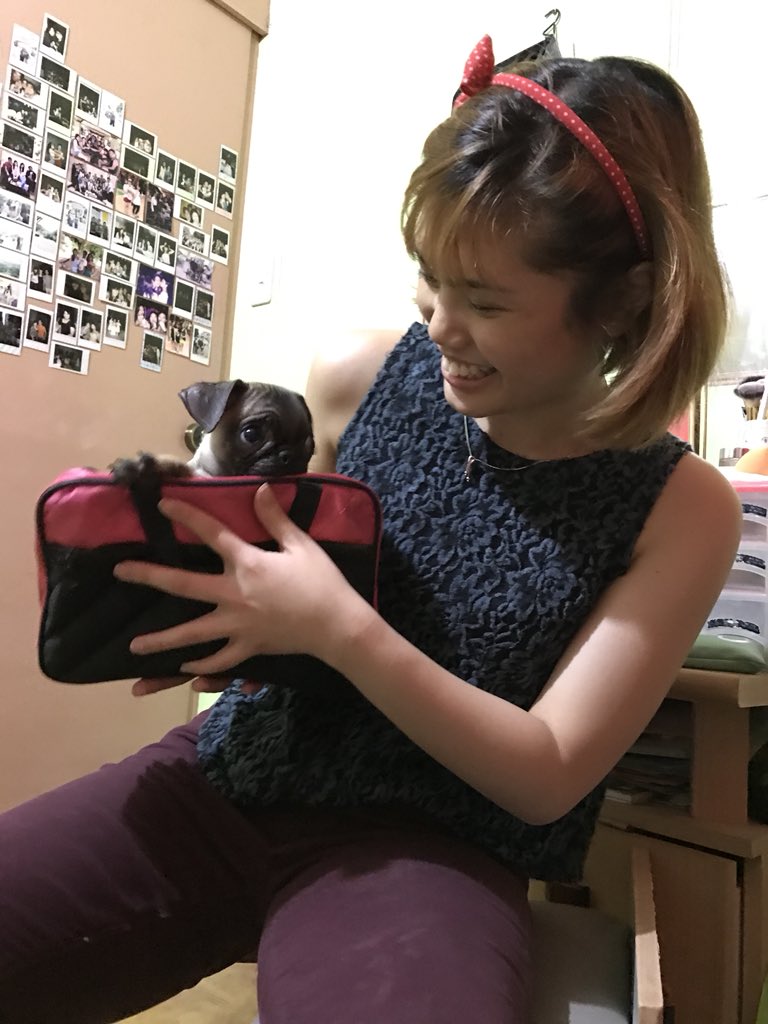 rominalooo's tweet photo. You were always a wacky one ❤️ You’ll always have a place in my heart baby 🐶 Until we meet again Doodles 💞 https://t.co/F6nAM2Yc2w