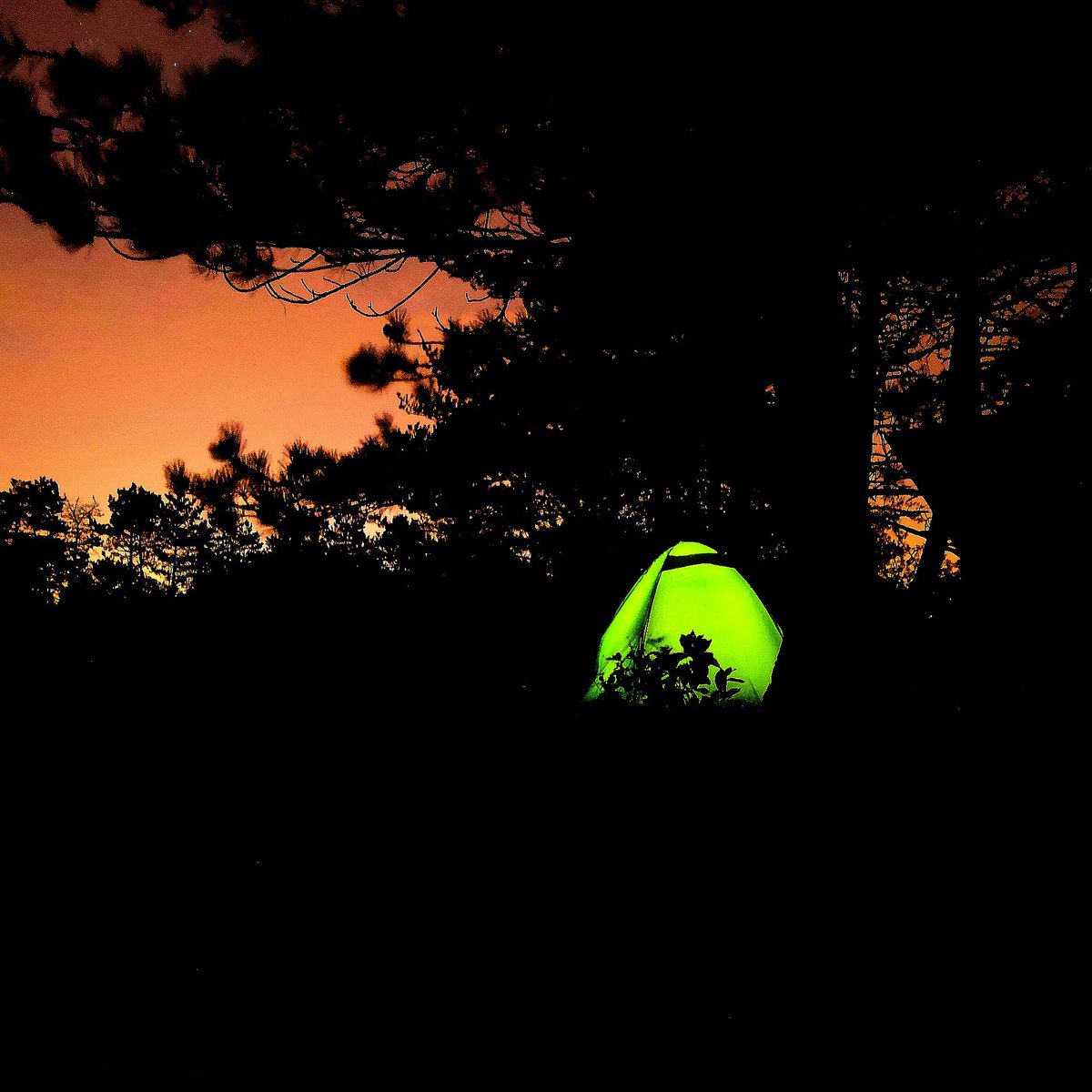 FunLionel's tweet image. Sentier Félix Batier 50km et 2000 de D+/-