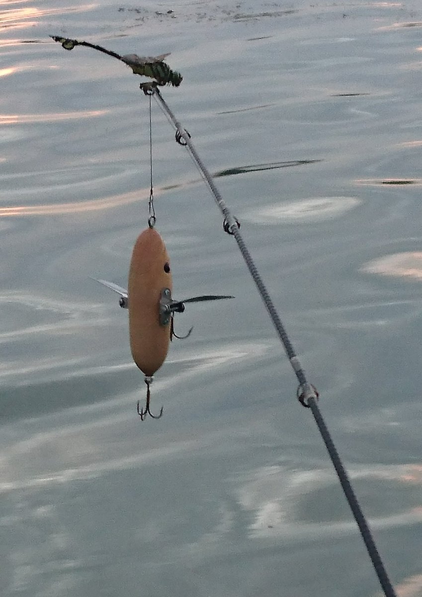 NOVEL_Lures's tweet photo. 久々の琵琶湖。
最近の酷暑続きで水温32度超えとか、排水量僅かで水質最悪とか、酸素不足で沢山の魚が生命を落として浮かんでる状態とか、、、。
色々心配になってしまった。
パターンも見つからないままトップでは2回のショートバイトのみ。釣果はクランクで1本のみ。(ちゃんと撮れた写真無かった～) https://t.co/xDM4brp56Y