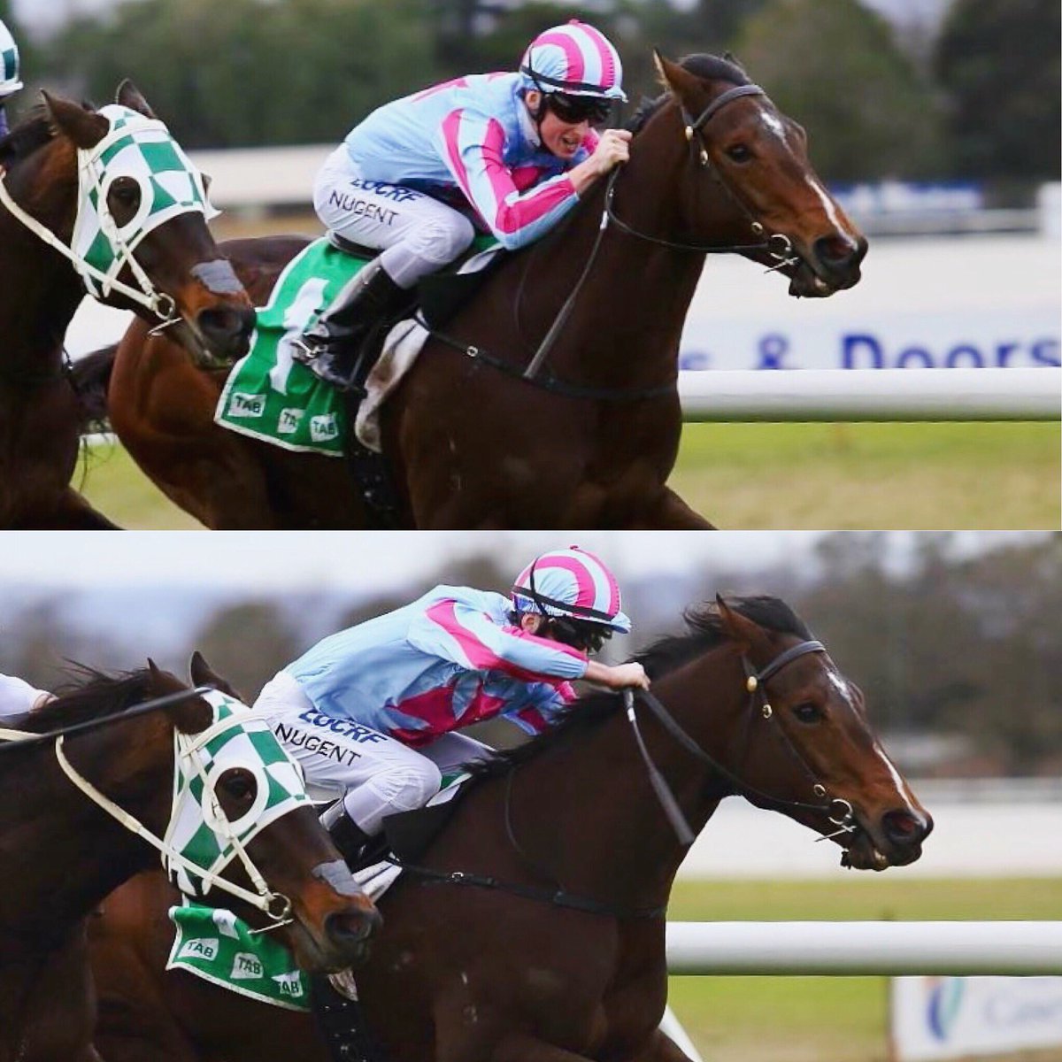 TeoNugent1's tweet image. Enigman Zooomin’ Home @CranTurfClub For the Bosses @cmaherracing ahead of 21 longgg days out of the saddle #Suspension #CantSteer #TryingTooHard