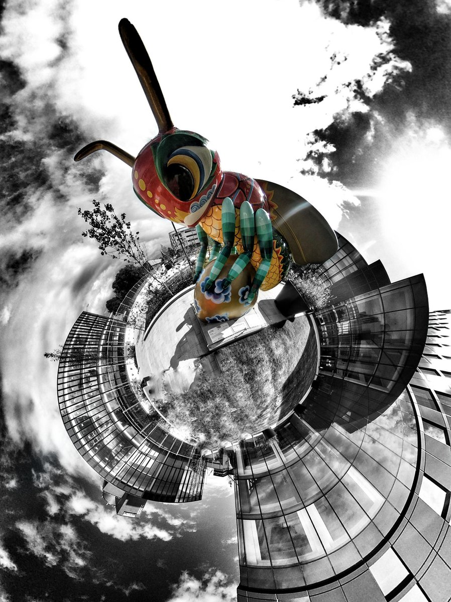 Jonnybentley360's tweet photo. Beejing! Created by @JessPerrin1
sponsored by @CrownePlazaManc
And @Staybridge

On the radio at 4pm https://t.co/2dWPdrTdfn or 96.9fm

#tinyplanet #littleplanet #photosphere #bee #manchester #bees #igersmcr #manchestereveningnews #beeinthecity #gofundme #charity #catchthemoment https://t.co/FyiPoC3Nfr