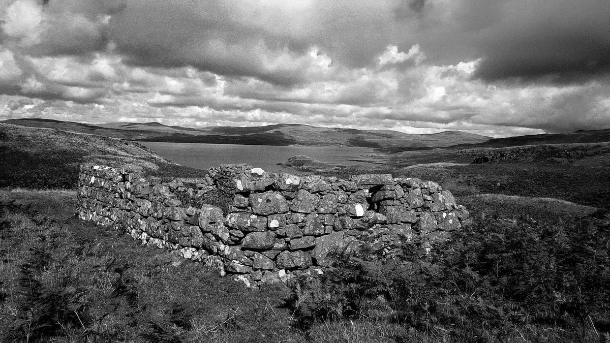 Alex Keivers (@alex_keivers) on Twitter photo 