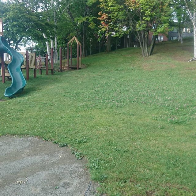 初めてのアフリカ