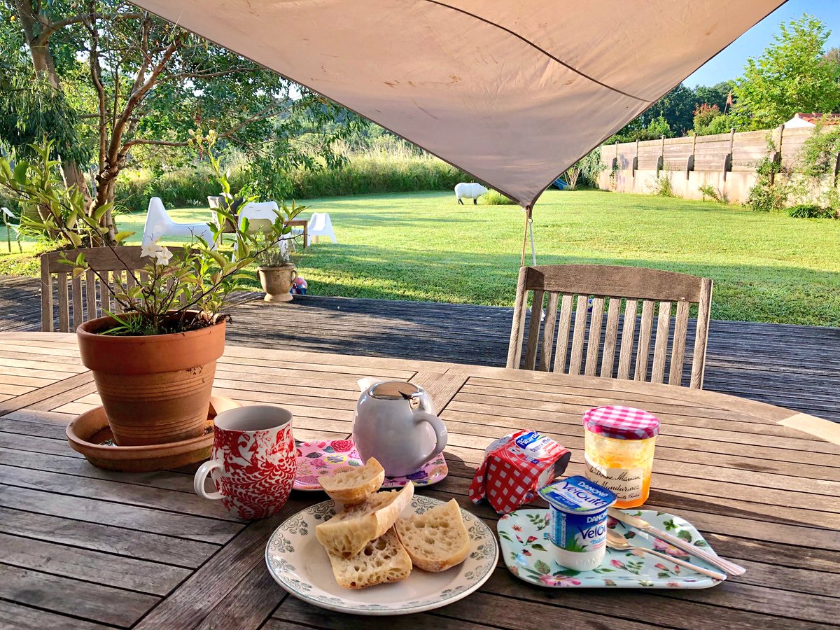 FifiBrindosier's tweet photo. Salutation ô soleil ☀️
#BreakfastIsComing https://t.co/jjs6yz5q6I