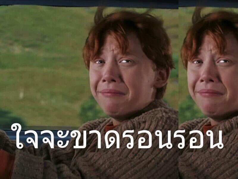 • เซียน • tweet media