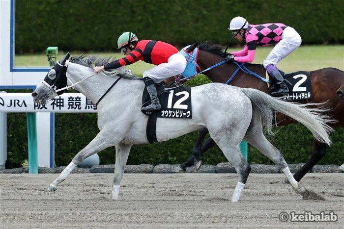 競馬ラボ على تويتر 8 15 盛岡 クラスターカップ 枠順 フレンドパリ 鈴木祐 ナムラバイオレット 関本淳 コスモマイギフト 高松亮 オウケンビリーヴ 北村友 ラブバレット 山本聡 メイショウオセアン 坂口裕 コパノマイケル 田辺 競馬 Keiba