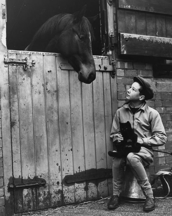 <a href="/StePoynor/">Stephen Poynor</a> <a href="/haydockraces/">Haydock Park Races</a> <a href="/sea_pigeon/">Steven White</a> <a href="/willhillpeople/">William Hill People</a> <a href="/Croftwood4/">Tony O'Callaghan</a> <a href="/triplem70/">Mick Taylor</a>