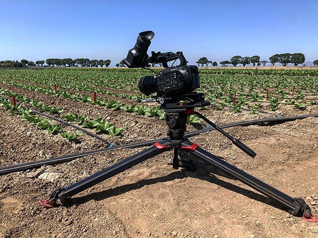 Mag1Productions's tweet image. Reason number #101 I love the @sachtlersystems #flowtech75 the #lowangleshot .
.
.
#videolife 
#videographer 
#videoproducer 
#tripod 
#sachler 
#salinasvalley 
#agriculture 
#sonyfs7 
#montereycounty
#4k bit.ly/2vE5NlA