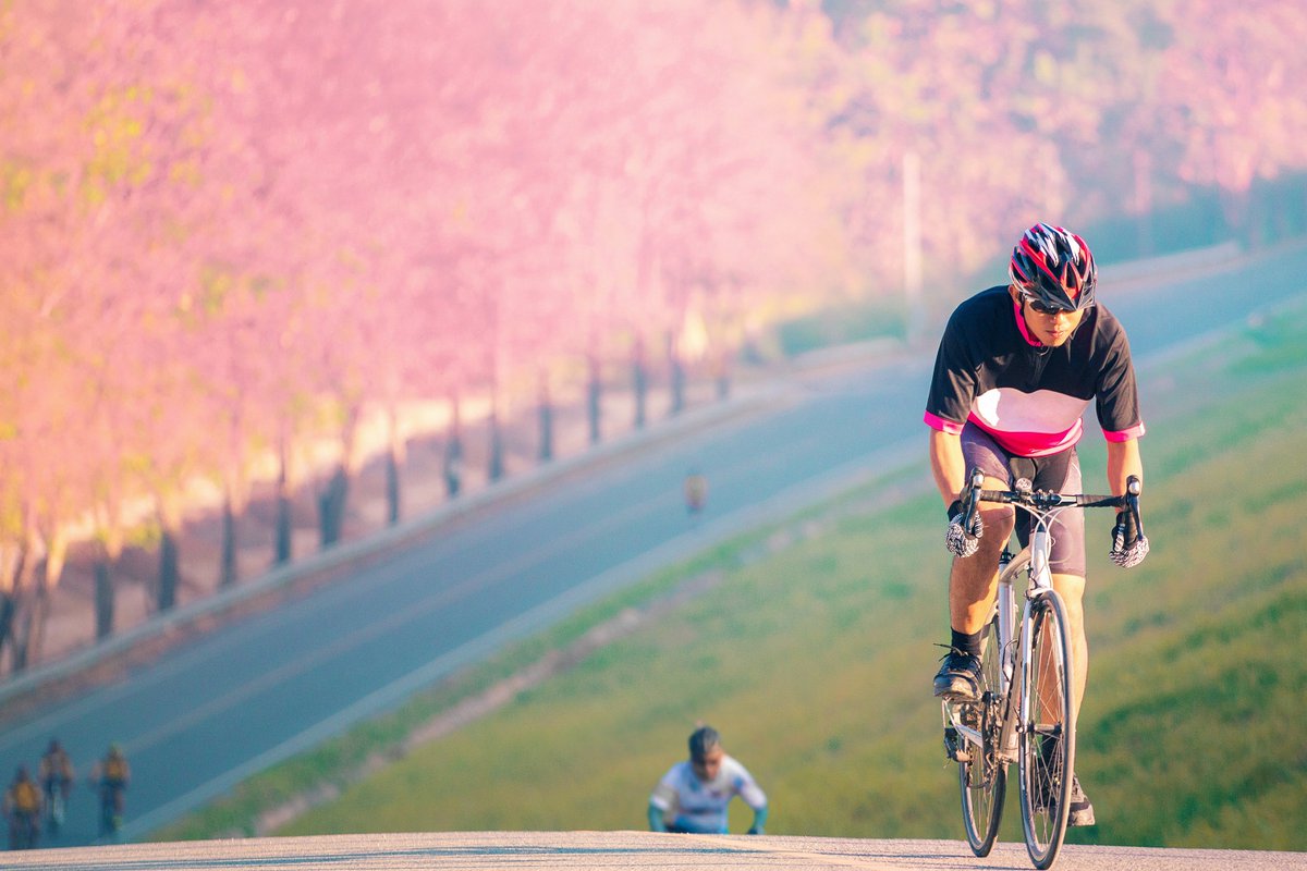 Hoshino_Resorts's tweet photo. Suggested routes, tips and advice. Find out how to tour Japan by bike! 🚴‍♀️⛰️ https://t.co/VTxPrnFrbS #Hoshinoresorts #Come2Japan #Stay4fun #Cyclotourism #Bikes #Biking #Routes #Tips #Travel #Hakone https://t.co/G1vlhSKnkI