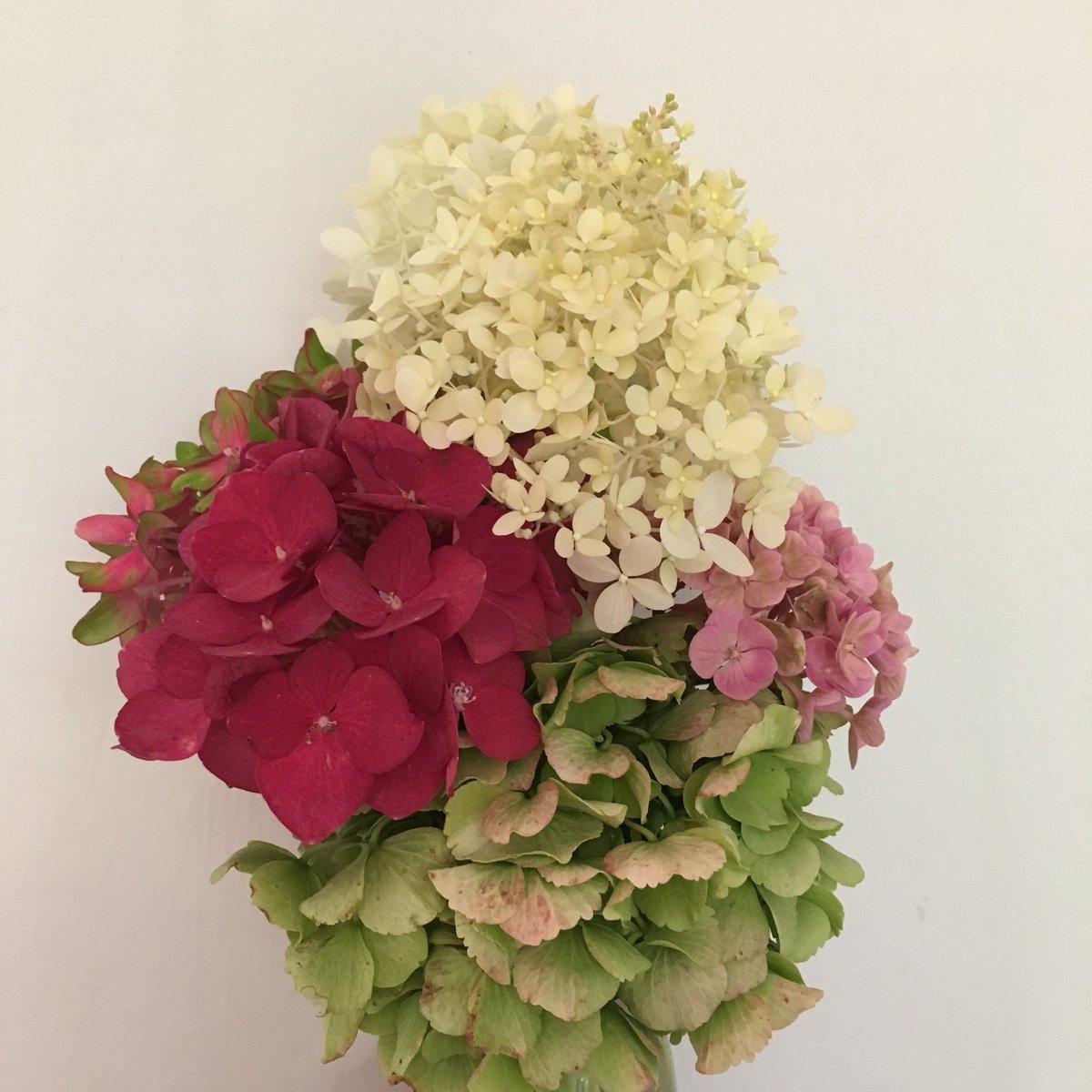 Two new arrangements from the garden #floralbrights #growyourownflowers #cuttinggarden